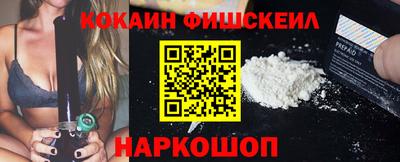 молекула духа Кингисепп