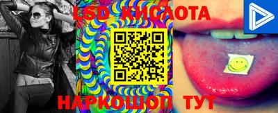 спиды Кимры