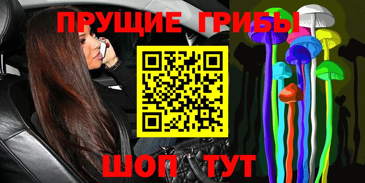 Кунгур  Галлюциногенные грибы мицелий  Псилоцибиновые грибы GOLDEN TEACHER  Вход с VPN 